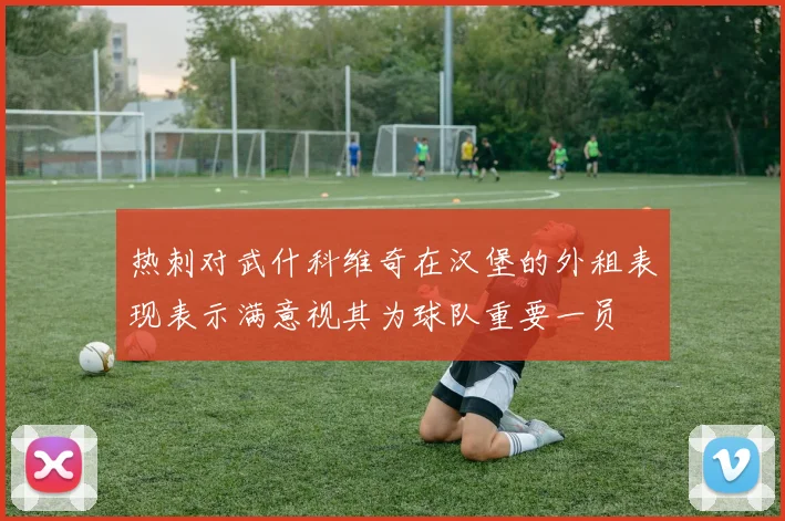 热刺对武什科维奇在汉堡的外租表现表示满意视其为球队重要一员