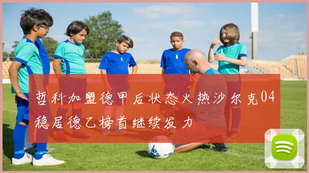 哲科加盟德甲后状态火热沙尔克04稳居德乙榜首继续发力